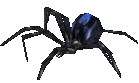 Dread Spider
