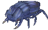 Fire Beetle