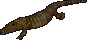 Alligator