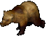 Grizzly Bear