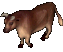Bull