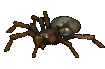 Giant Spider