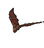 Vampire Bat