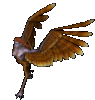 Stone Harpy