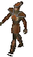 Meer Warrior