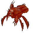 Red Solen Infiltrator