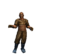 Elite Ninja equipped