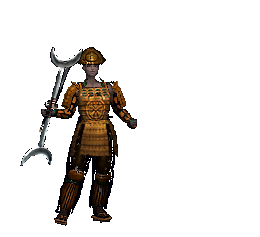 Samurai equipped