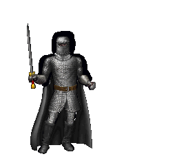 Summoned Paladin equipped